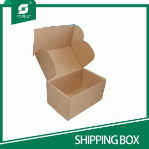 Custom Printed Corrugated Mailer Shipping Box